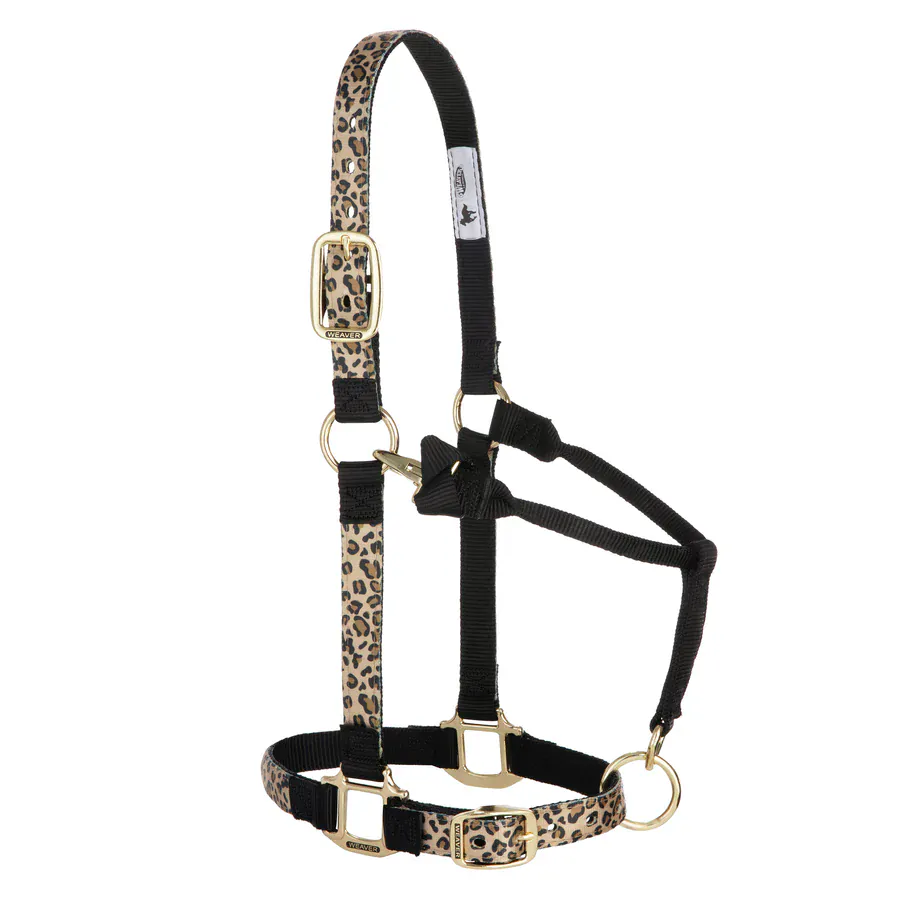 Adjustable Halters ~ Average ~ Leopard