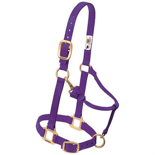 Adjustable Halters ~ Mini - Image 4