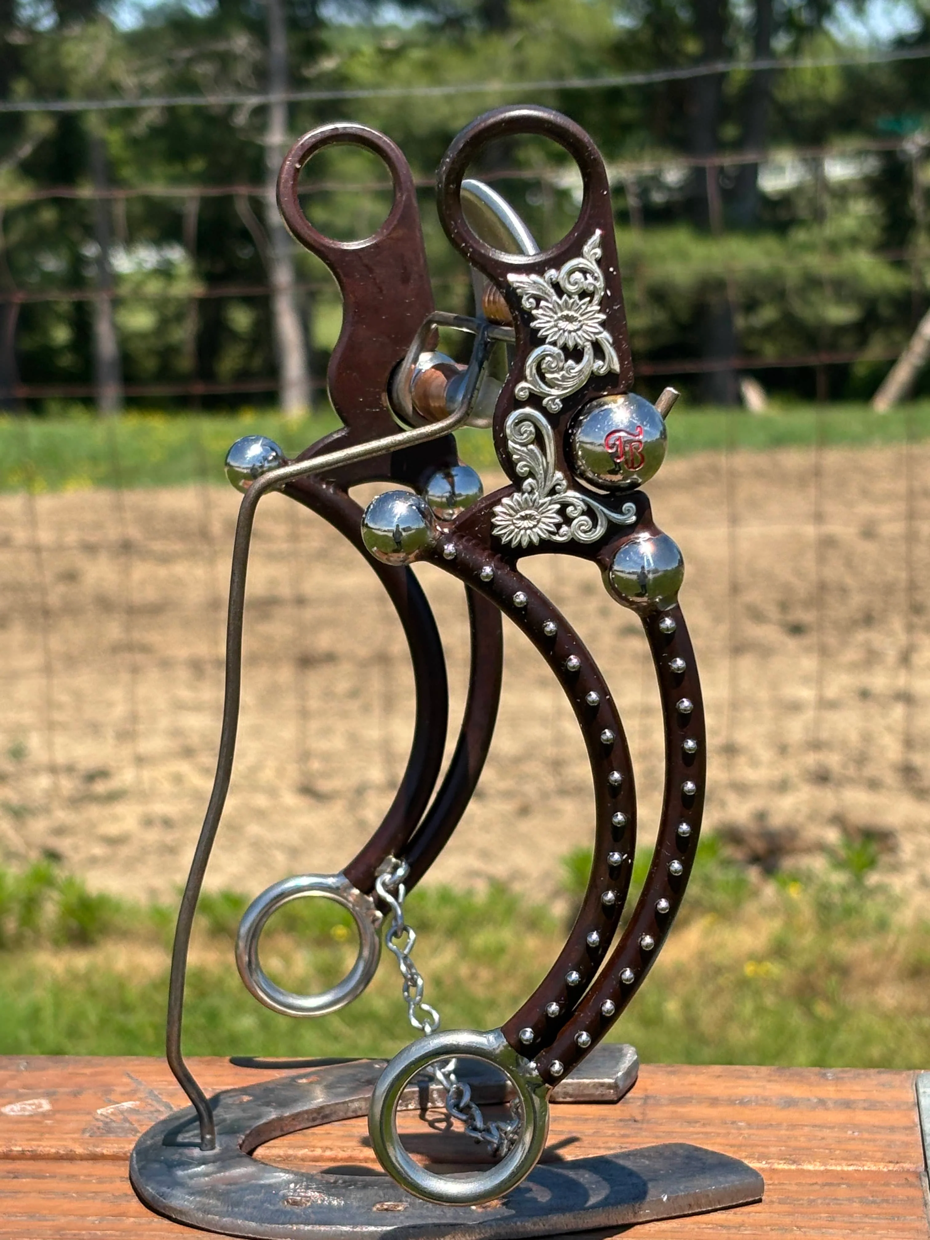 Avila K2 Equalizer W/Roller by Tom Balding ~ Engraved - Image 3