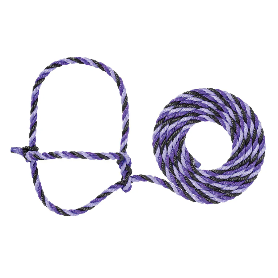 Cattle Rope Halter ~ Purple/Black