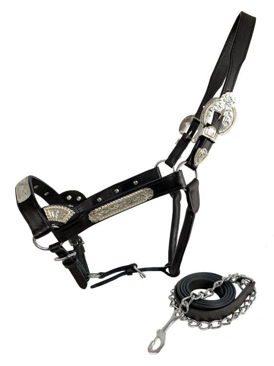 Dark Leather Show Halter ~ Floral Engraved - Image 3