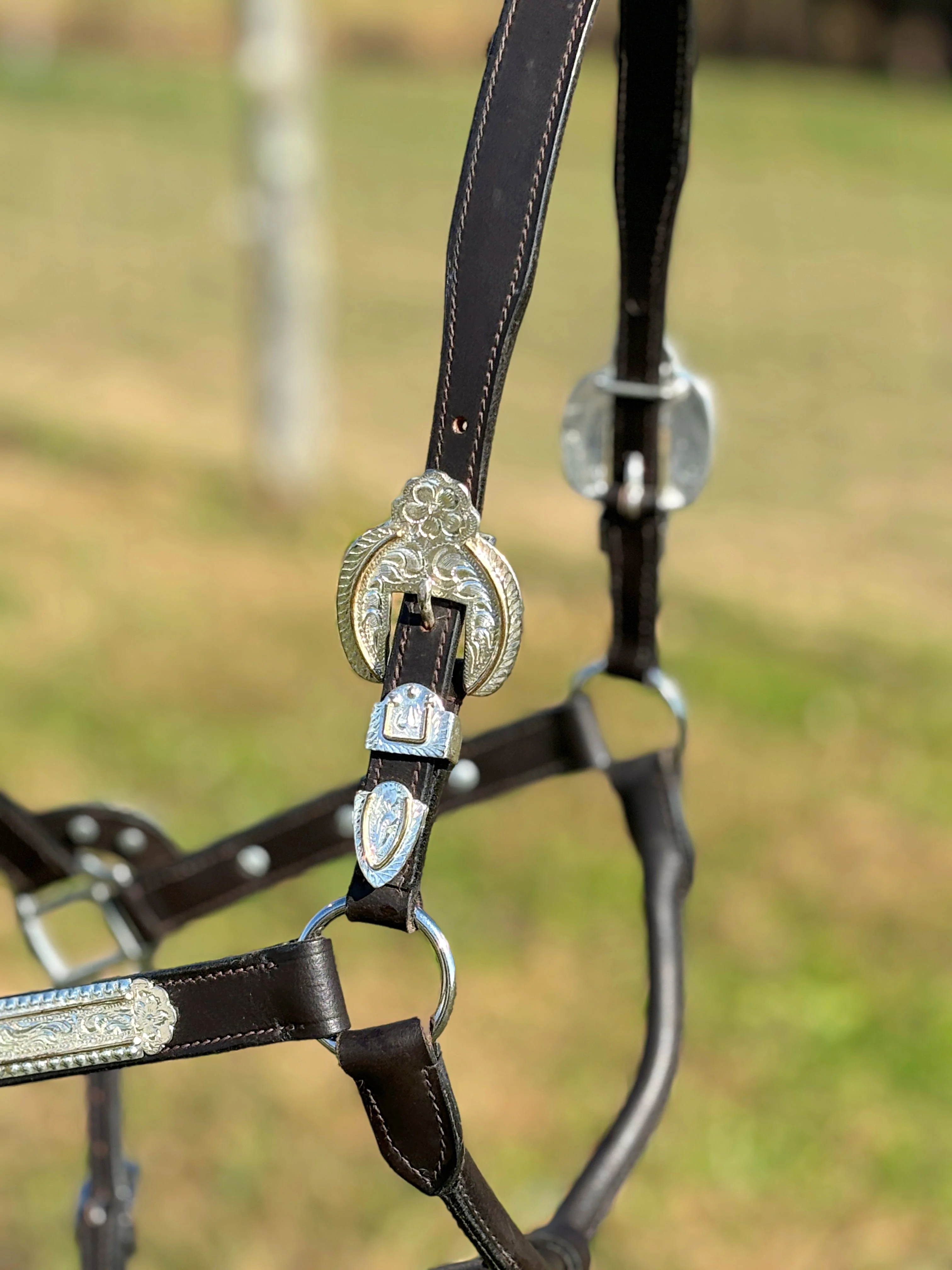 Dark Leather Show Halter ~ Floral Engraved - Image 4