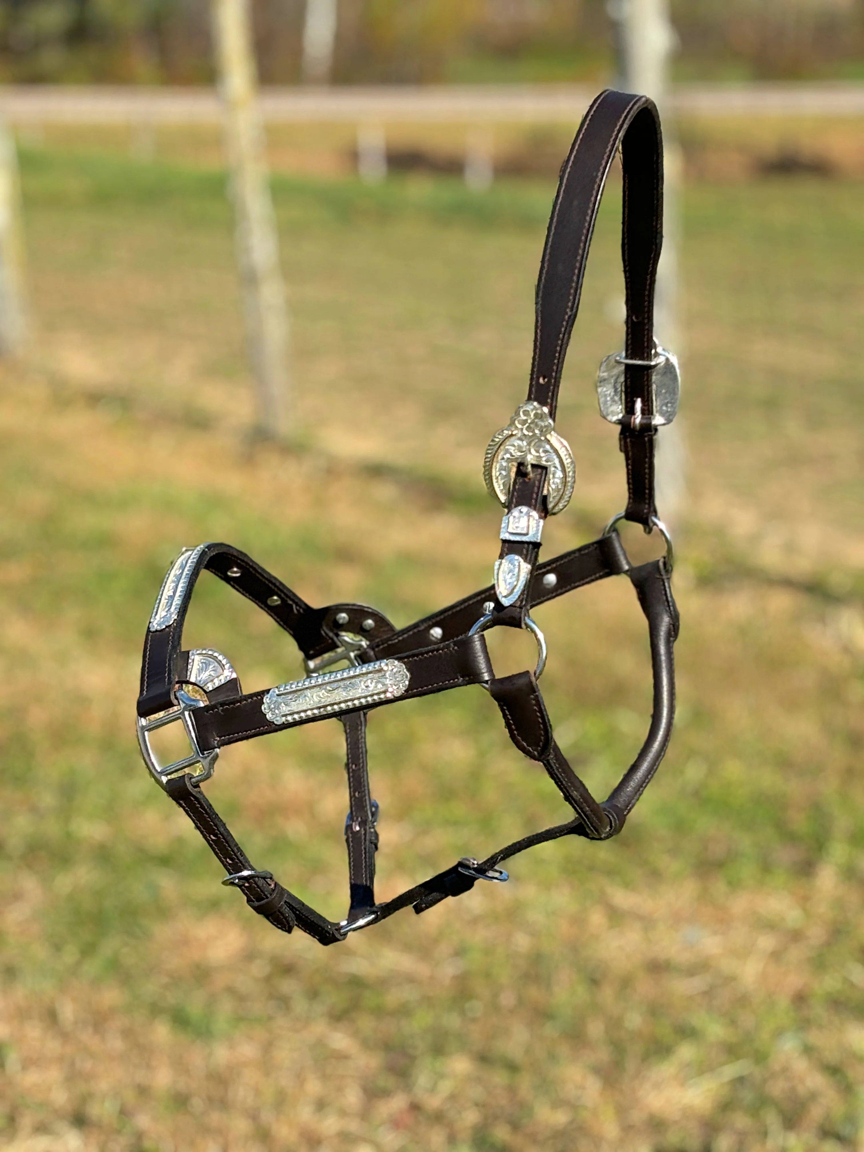 Dark Leather Show Halter ~ Floral Engraved - Image 5