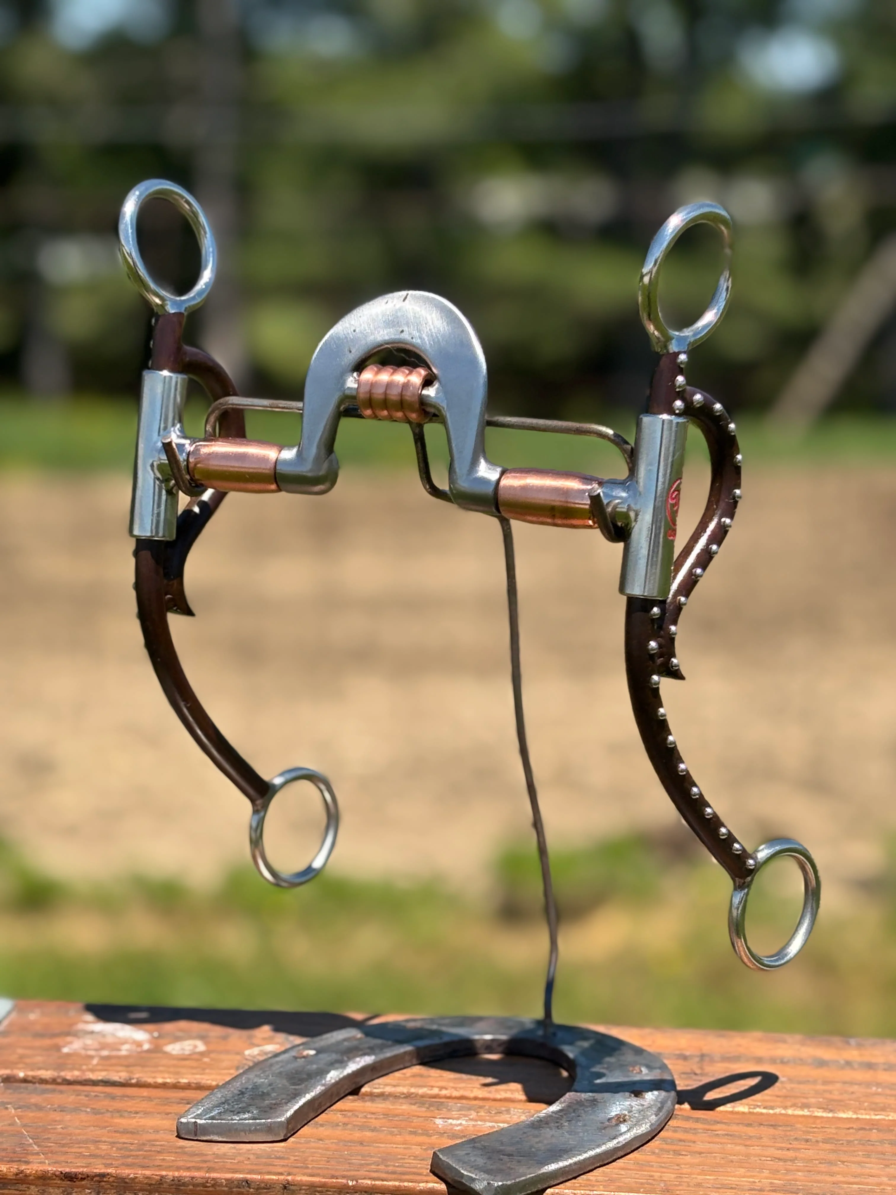 Long Horn Equalizer W/Roller by Tom Balding