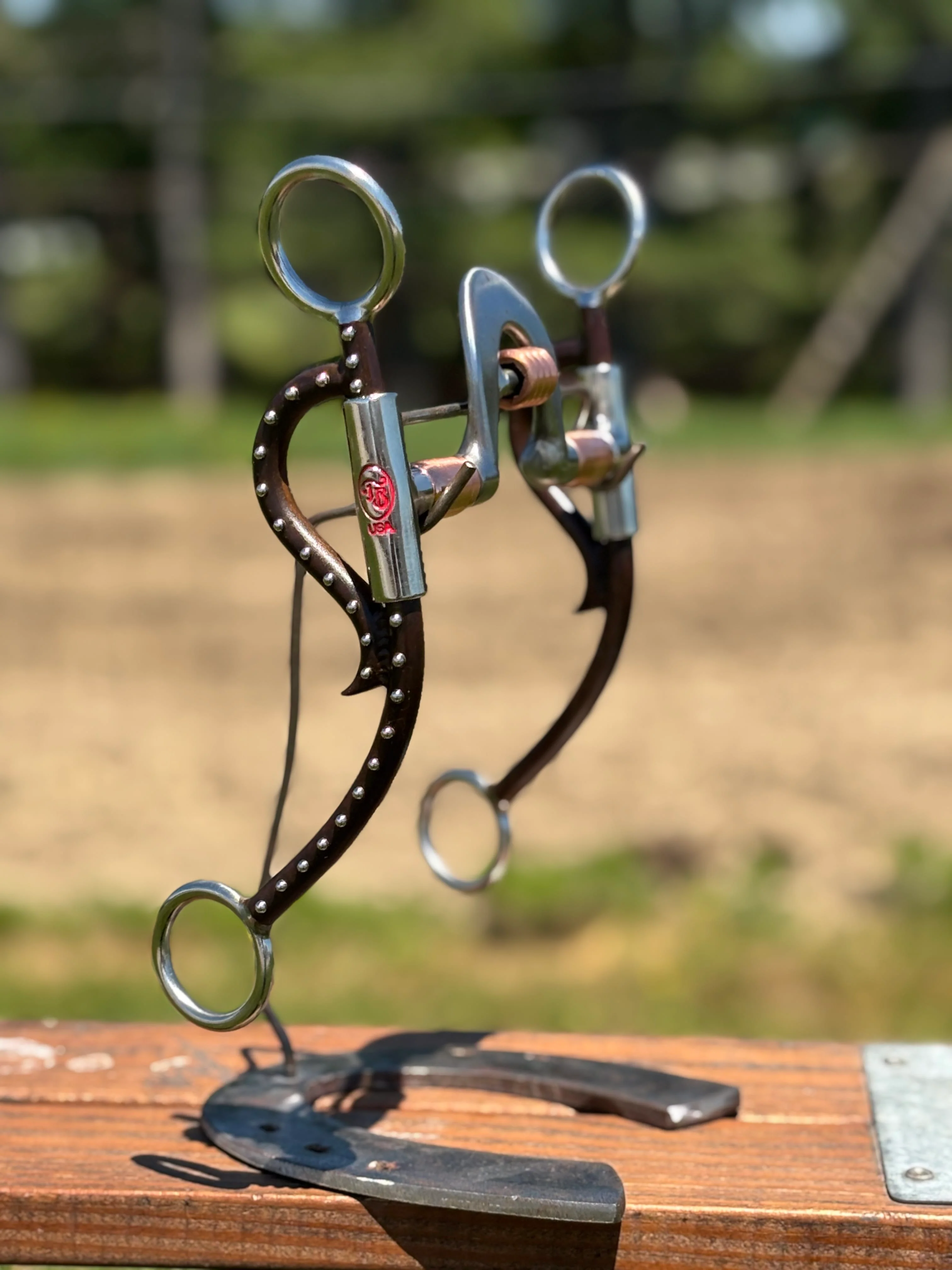 Long Horn Equalizer W/Roller by Tom Balding - Image 3