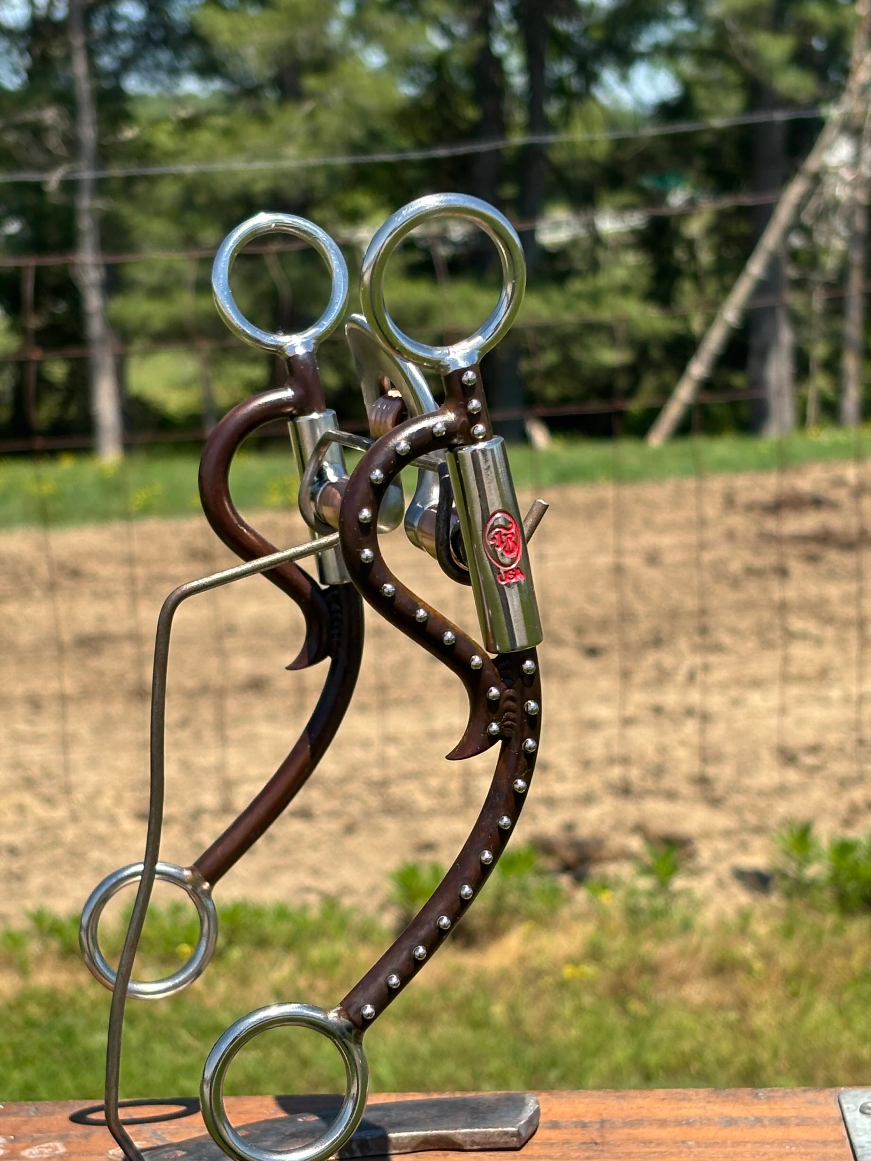 Long Horn Equalizer W/Roller by Tom Balding - Image 4