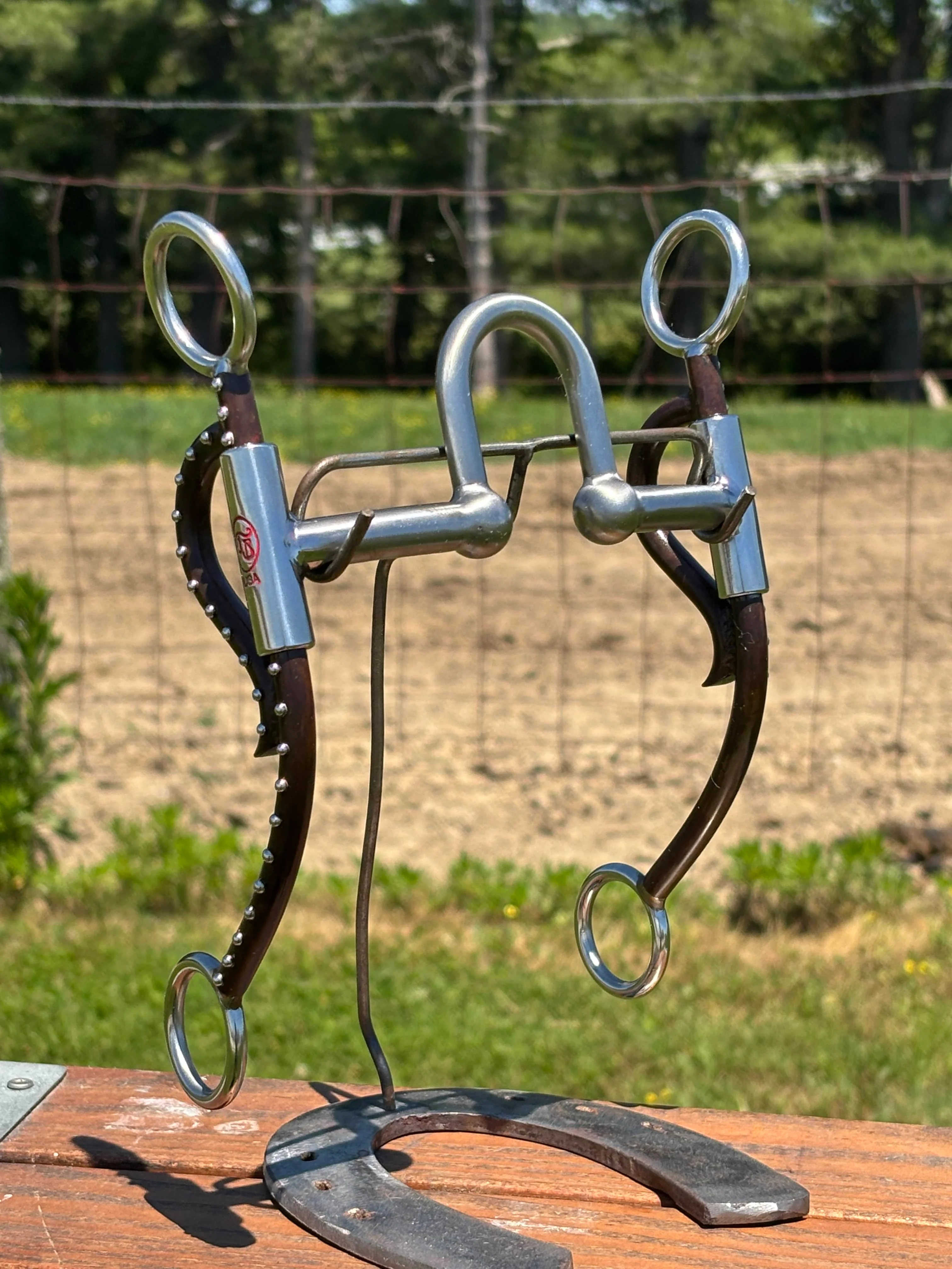 Long Horn Silverado by Tom Balding
