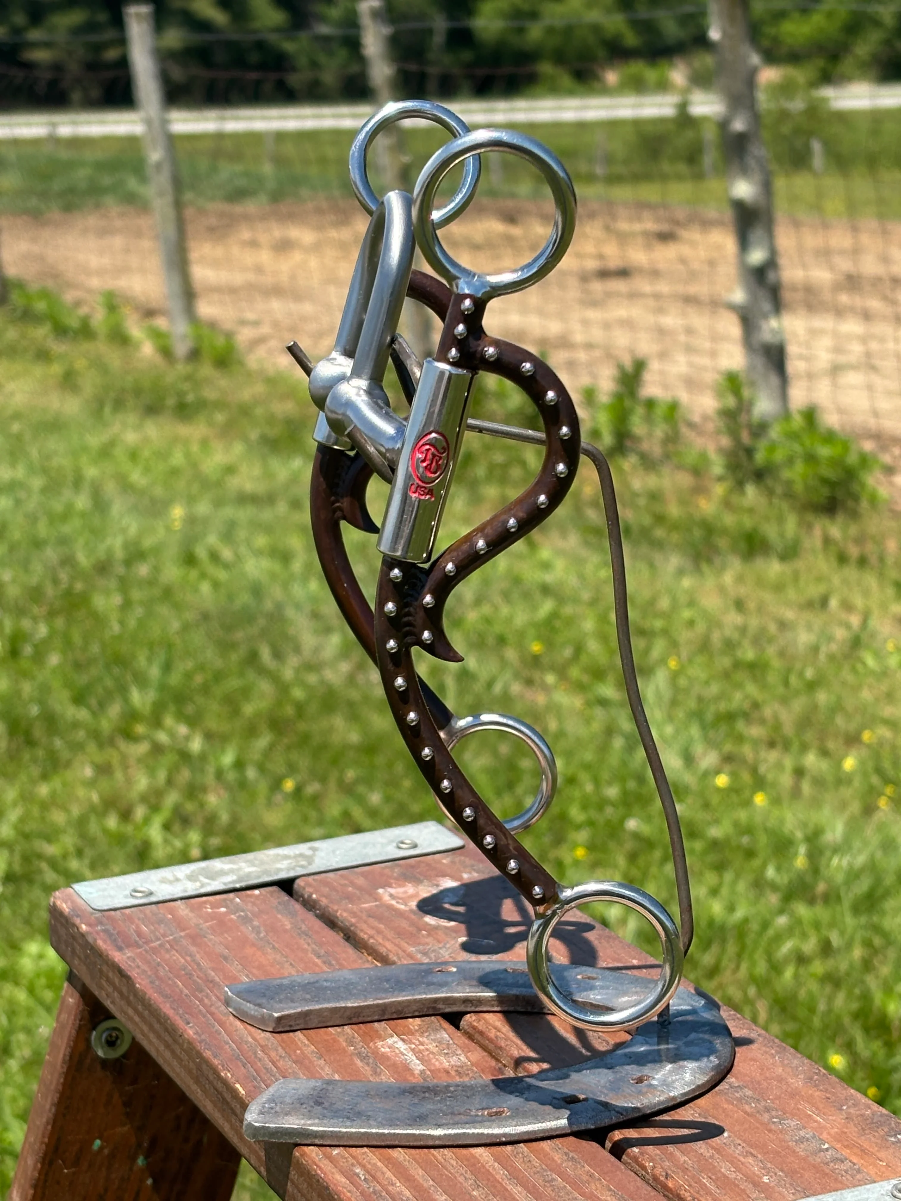 Long Horn Silverado by Tom Balding - Image 3