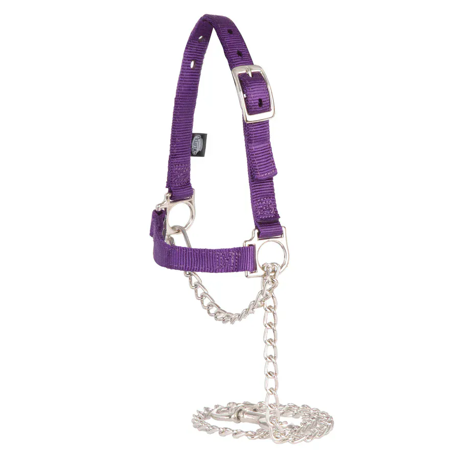 Nylon Adjustable Sheep Halter W/Chain Lead