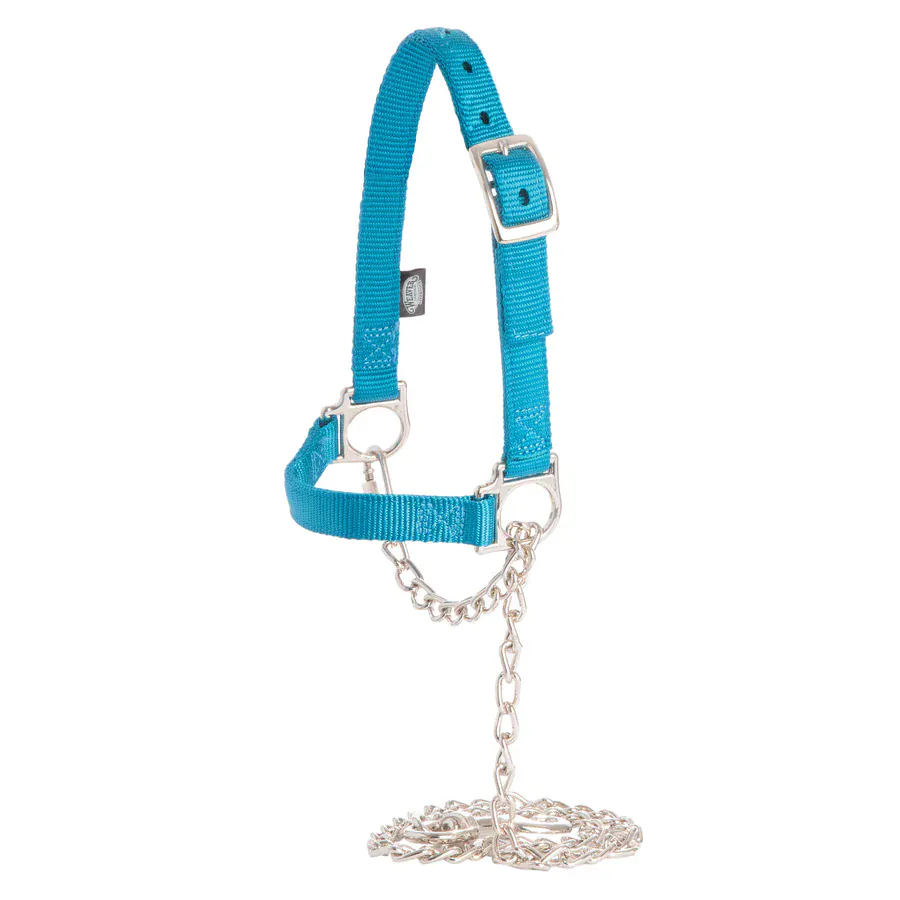 Nylon Adjustable Sheep Halter W/Chain Lead - Image 2