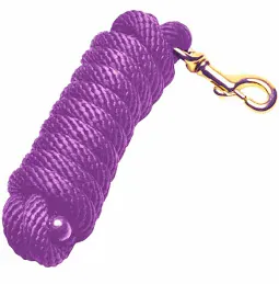 Poly Lead ~ Purple