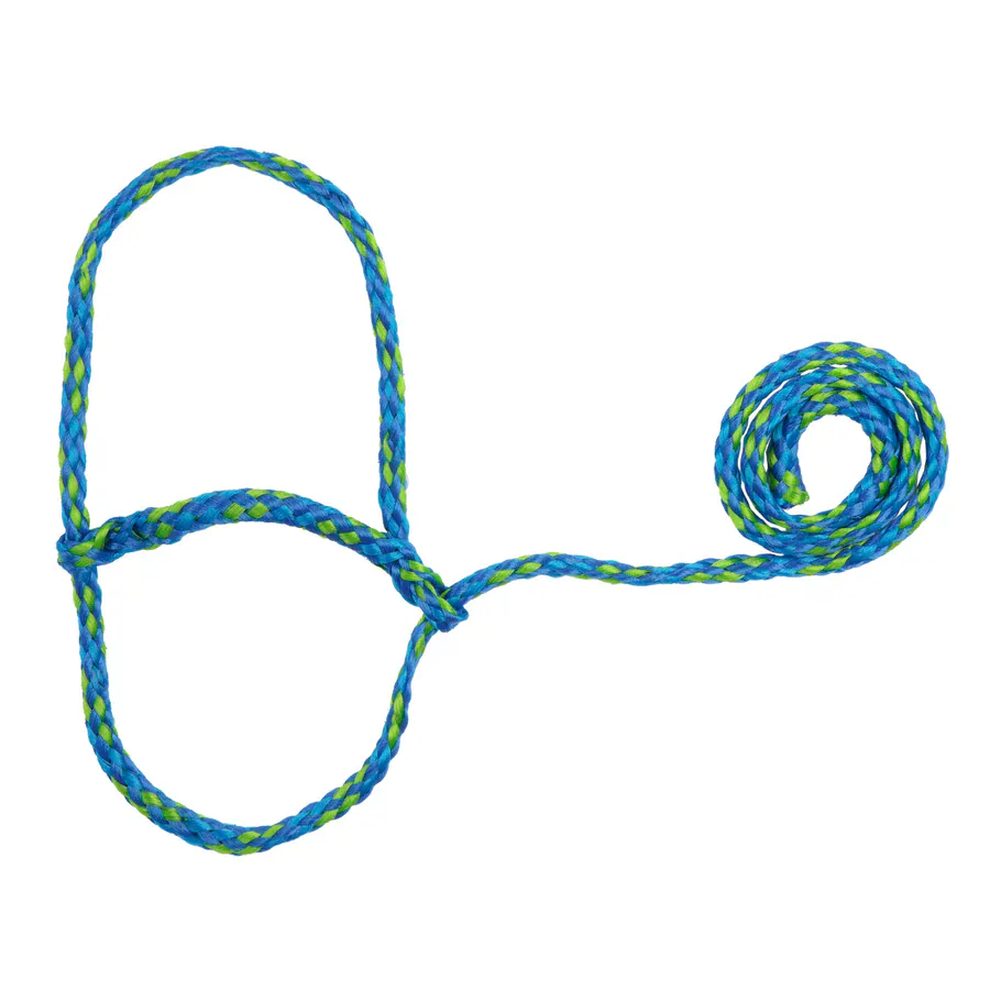 Poly Rope Halter ~ Sheep - Image 4